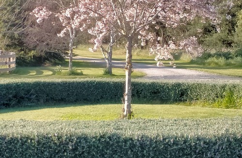 Darfield Cottage | Cosy comfortable, peaceful retreat, 30 mins from Christchurch Airport