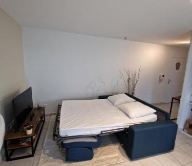 Decines-Charpieu Apartment | Cosy Decines Groupama Stadium-LDLC Arena Climatisé
