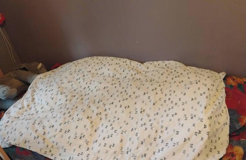 Oslo Bed & Breakfast | Cosy little room near forest and town