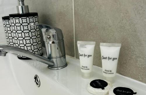 Emanoil Gojdu Apartment | Cosy Nest Deva