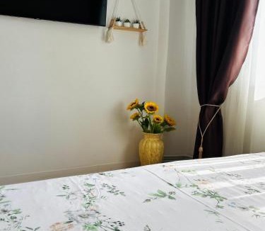 Emanoil Gojdu Apartment | Cosy Nest Deva
