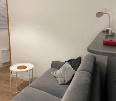 Jean Moulin - Marius Berliet Apartment | Cosy Studio 16m2