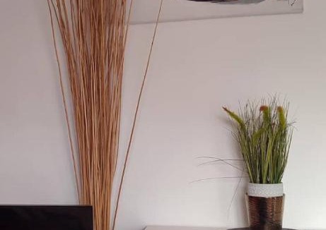 Northampton Apartment | Cosy studios