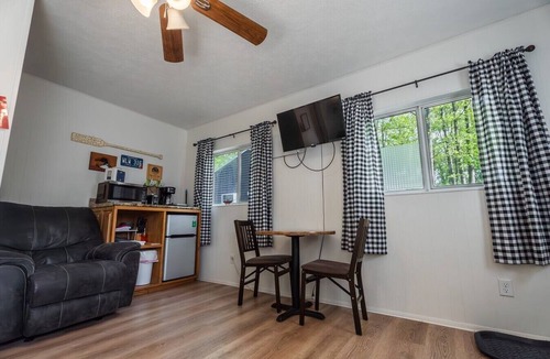 Lake City Cabin | Cottage #8 Michigan Summer, 1 Bedroom Cottage