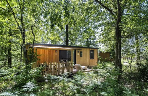 Pierrefitte-sur-Sauldre House | Cottage Keywest Forest 4 rooms 6 persons Premium Air-conditioned