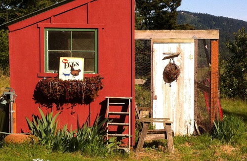 West Sound Cottage | Cottage-in-the-Barn on Dragonfly Farm