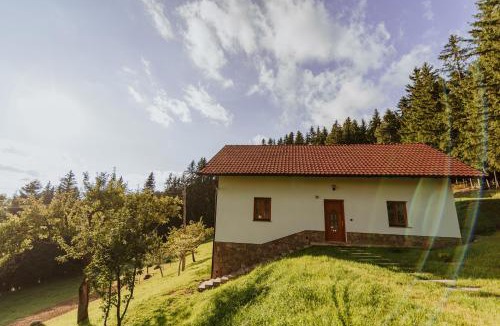 Paka House | Cottage Planska koča