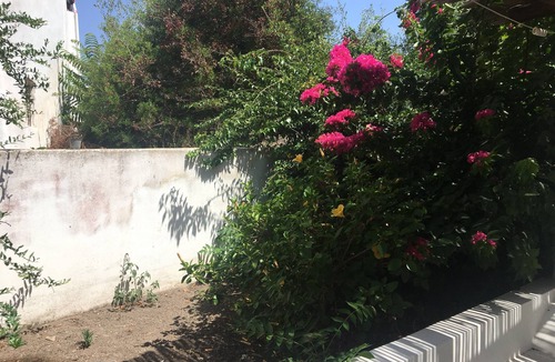 Panarea Apartment | Cottage with large garden in the center of Panarea