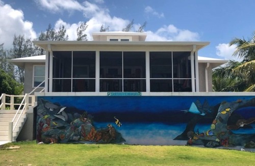 Rainbow Bay House | Cotton & Coconuts by Eleuthera Vacation Rentals