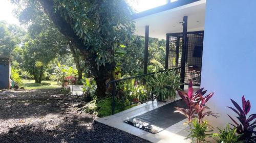 Cerro Plano Bed & Breakfast | Cotton House
