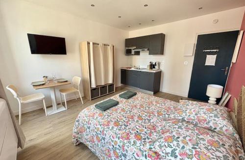Castres Apartment | Coudert lll l Studio En Hypercentre Climatisé