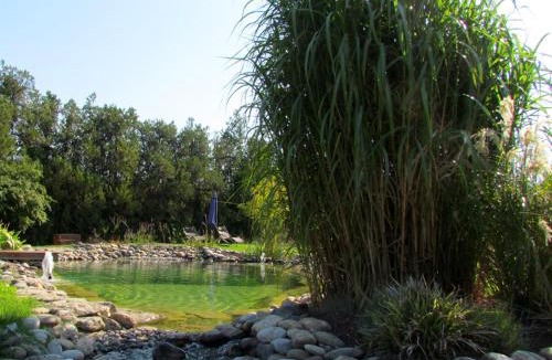 Le Thor Bed & Breakfast | Couleur Lavande