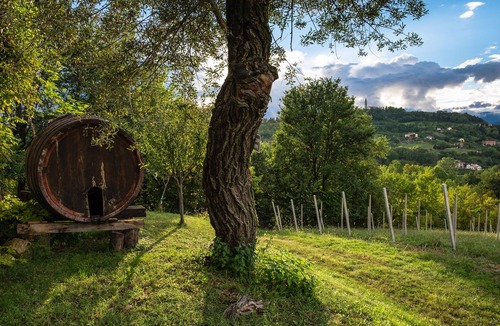 Conegliano Apartment | Country house in the Prosecco hills, 4 apartments