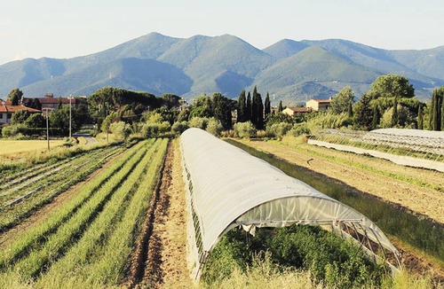 Cascina House | Country house near Pisa