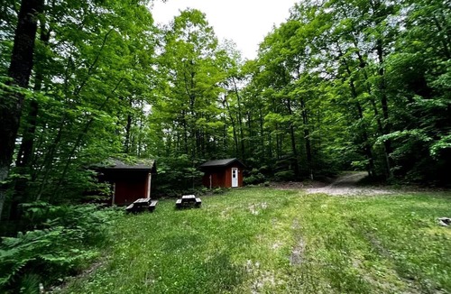 White Lake Cabin | Couples Cabin Close to Wolf River for a Peaceful Escape near White Lake, Wisconsin