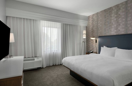Paw Creek Hotel | Courtyard by Marriott Charlotte Airport North