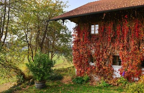 Neureichenau Apartment | Courtyard studio Menacher treasure cave - 25 sqm studio on the ground floor with terrace