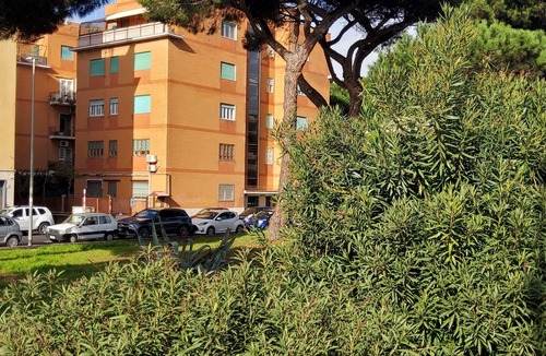 Quartiere XXXIV Lido di Ostia Levante Apartment | Courtyard view apartment (in B & B) has other rooms if desired