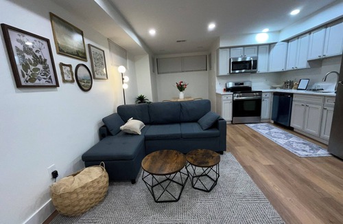Washington House | Coze & Stylish Basement Retreat