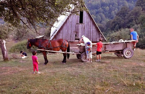 Saliste Cabin | COZO FANTU mountain hut in the Transylvanian Carpathian Mountains Romania