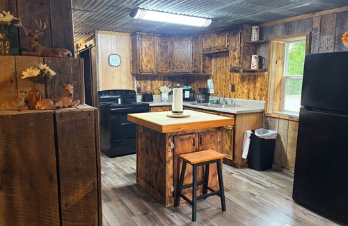 Baxter Cabin | Cozy 1-bedroom cabin