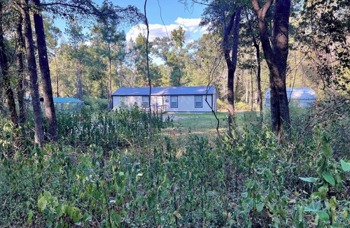 Montgomery Cabin | Cozy 2-bedroom, full-bathroom in Sam Houston National Forest