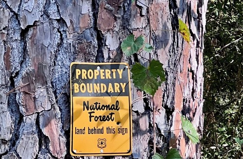 Montgomery Cabin | Cozy 2-bedroom, full-bathroom in Sam Houston National Forest