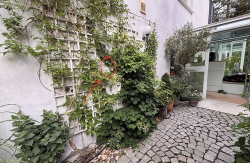 Ratingen Apartment | Cozy 2-room apartment with kitchen and bathroom