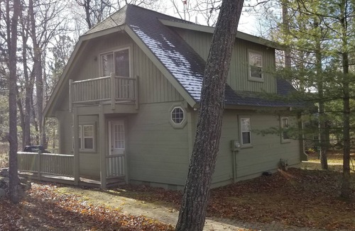 Lewiston Cottage | Cozy 2bed2bath cottage w/fireplace in the woods, perfect for Up North adventure