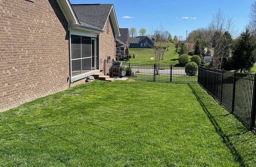 Buechel House | Cozy 3-bedroom house in charming Louisville with a tropical feel