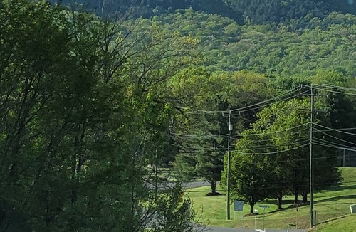 Massanutten Resort | Cozy 4 bdrm 4 bath ski resort with tons of amenities.