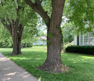 Algoma House | Cozy Algoma Retreat! Minutes to Beach and Downtown!