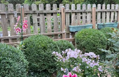Wheeling House | Cozy and Classic home in Wheeling, West Virginia