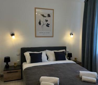 Zalau Apartment | Cozy Apartment Sfanta Vineri Zalau