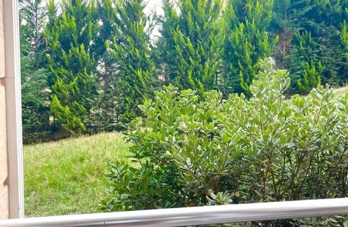 Samanl Apartment | Cozy apartments in Yalova