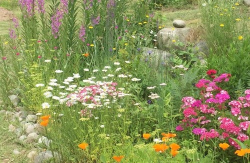 Powell River House | Cozy ,artistic cottage in a garden setting close to the beach and hiking trails.