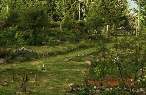 Powell River House | Cozy ,artistic cottage in a garden setting close to the beach and hiking trails.