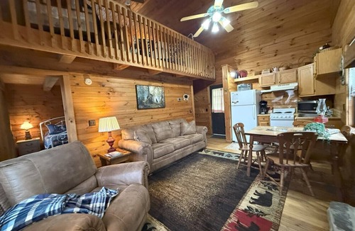 Maggie Valley Cabin | Cozy Bear Log Cabin, View, Wifi, Dogs Allowed