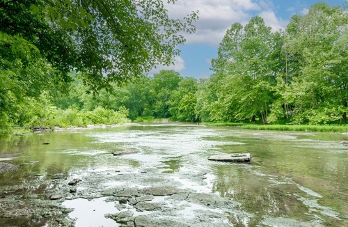 Taylorsville Cabin | Cozy Bourbon Country Cabin with HOT TUB and Fire Pit on Brashears Creek