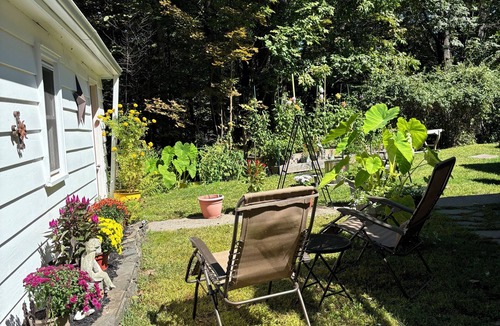Mount Tremper Apartment | Cozy bright sunny 1-bedroom with quiet AC and WiFi in charming Mount Tremper