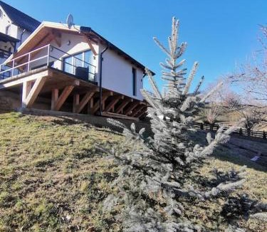 Bran House | Cozy Cabin Bran