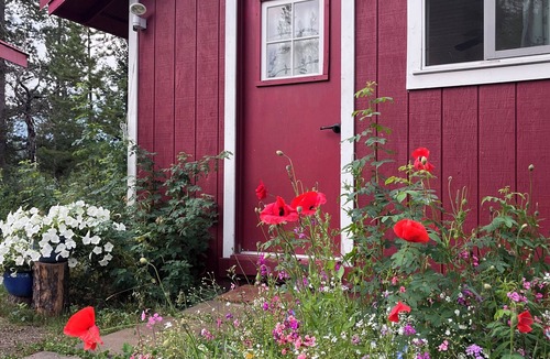 Tete Jaune Cache Cabin | Cozy Cabin surrounded by Nature