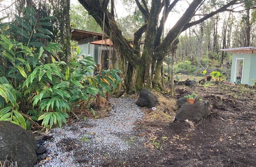 Mountain View Cabin | Cozy cabin under majestic banyan tree