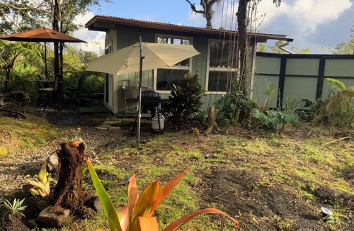 Mountain View Cabin | Cozy cabin under majestic banyan tree
