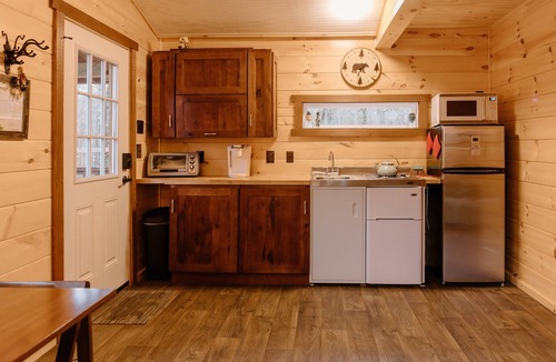 Rock Stream Cabin | Cozy Cabin with private woods in charming Rock Stream NY.