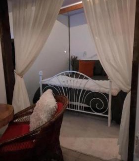 San Gerardo de Dota Apartment | Cozy Café Studio