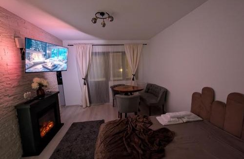 Petrosani Apartment | Cozy Central Studio