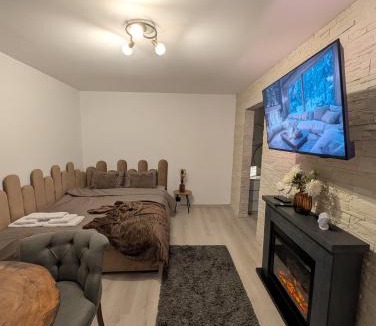 Petrosani Apartment | Cozy Central Studio