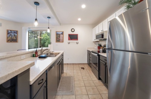 Bigfork Condo | Cozy condo w/fireplace, close to GNP - Marina Cay Retreat
