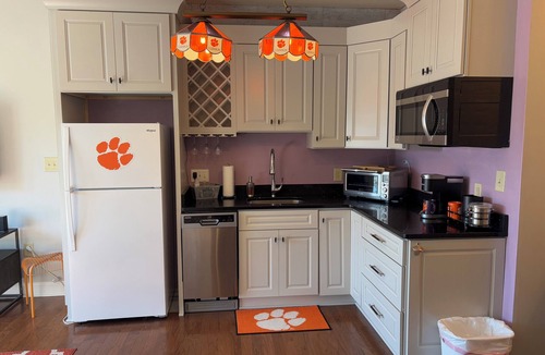 Clemson Apartment | Cozy & convenient studio apartment with a view of Death Valley.